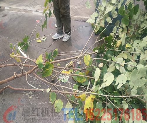 智能树枝粉碎机